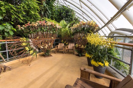 vejirovita-aranzma-na-terase-skleniku-fata-morgana